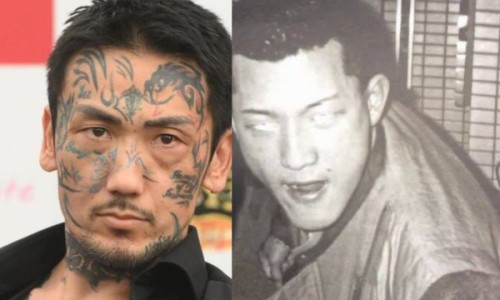 红萝卜缨子的功效与作用是什么专区_红萝卜缨子的功效与作用吃法专区_红萝卜缨子的功效与作用网