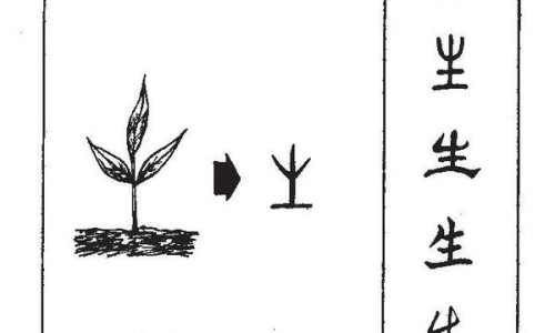 红萝卜缨子的功效与作用与禁忌-红萝卜缨子的功效与作用是什么专区_红萝卜缨子的功效与作用吃法专区_红萝卜缨子的功效与作用网